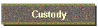 Custody