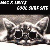 Cool Surf Site Award