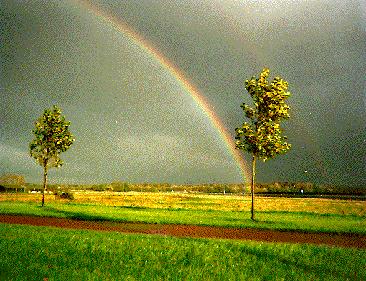 rainbow